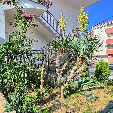 טרוגיר Apartments Milenka מראה חיצוני תמונה